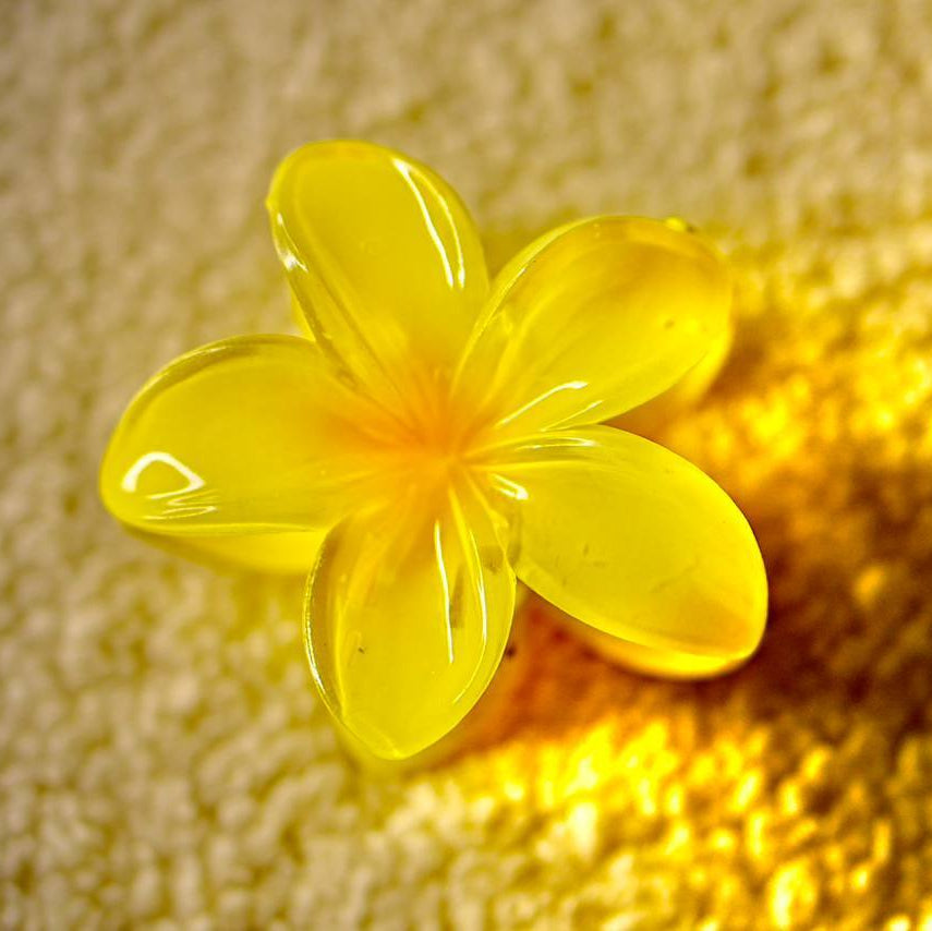 BloomClip – Épingles à Cheveux Fleur - 2 Tailles / 2 Coloris