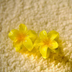 Jaune / Petite