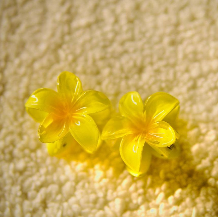 BloomClip – Épingles à Cheveux Fleur - 2 Tailles / 2 Coloris